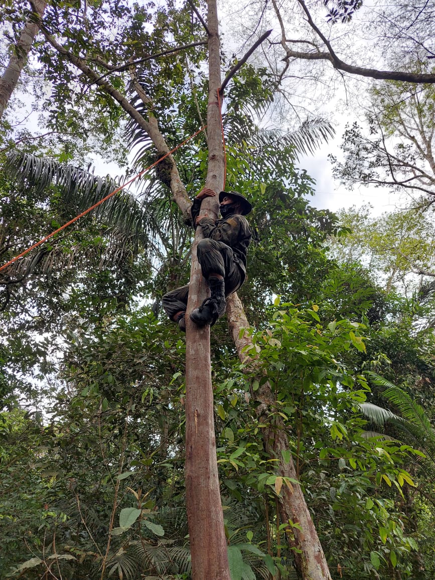 Exército Brasileiro - #INICIATIVA é fazer o certo sem que seja necessário  receber ordem para fazê-lo. #Selva