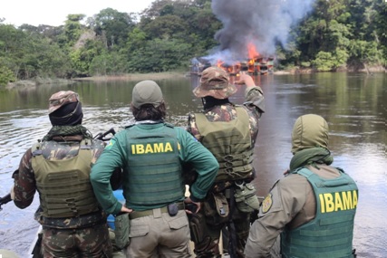 Exército Brasileiro combate crimes transfronteiriços e ambientais na região  Amazônica - Dialogo Americas